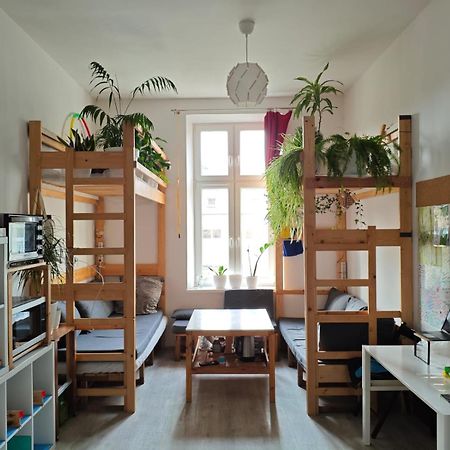 Evergreen Hostel Krakow Dış mekan fotoğraf