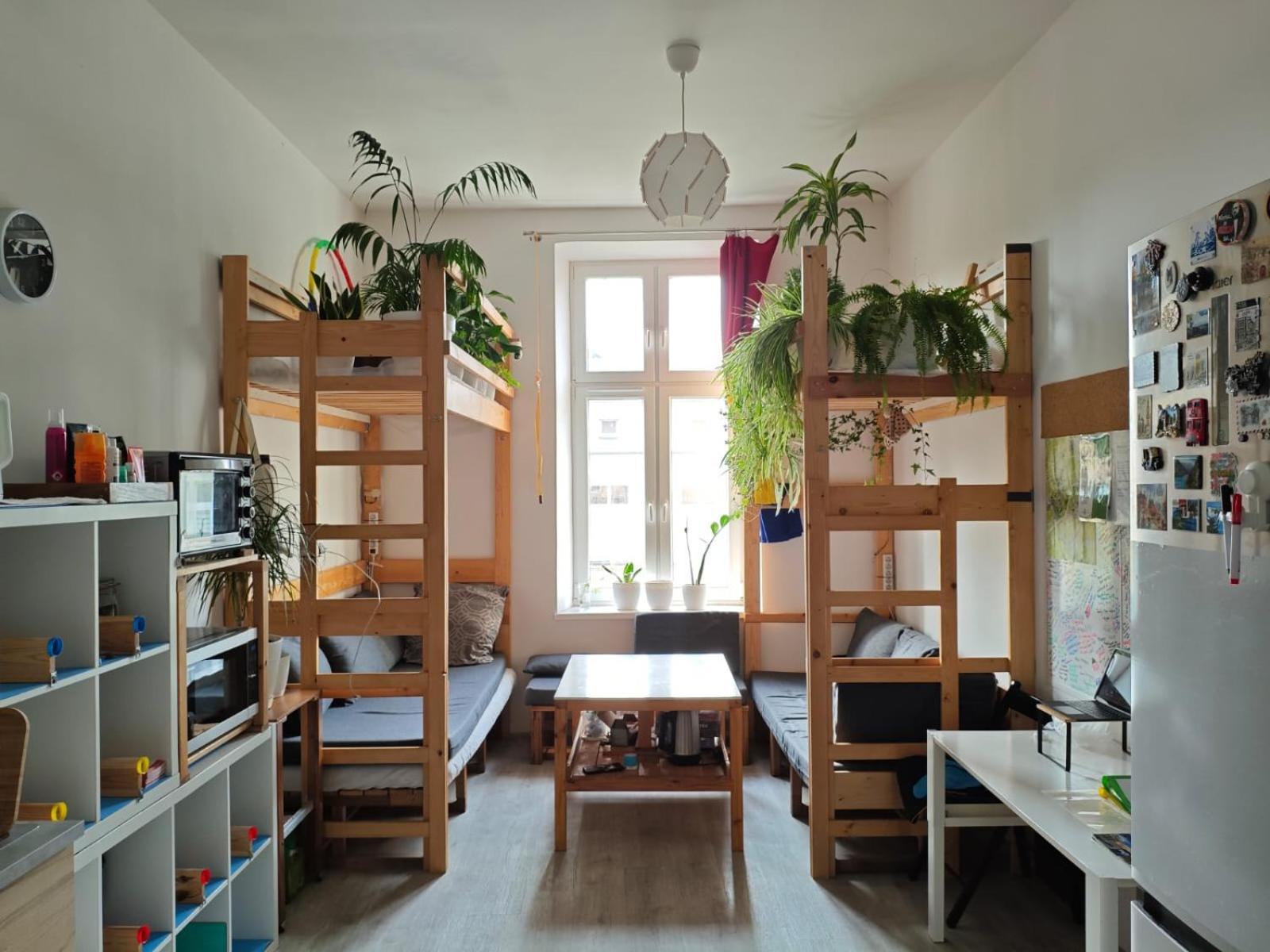 Evergreen Hostel Krakow Dış mekan fotoğraf