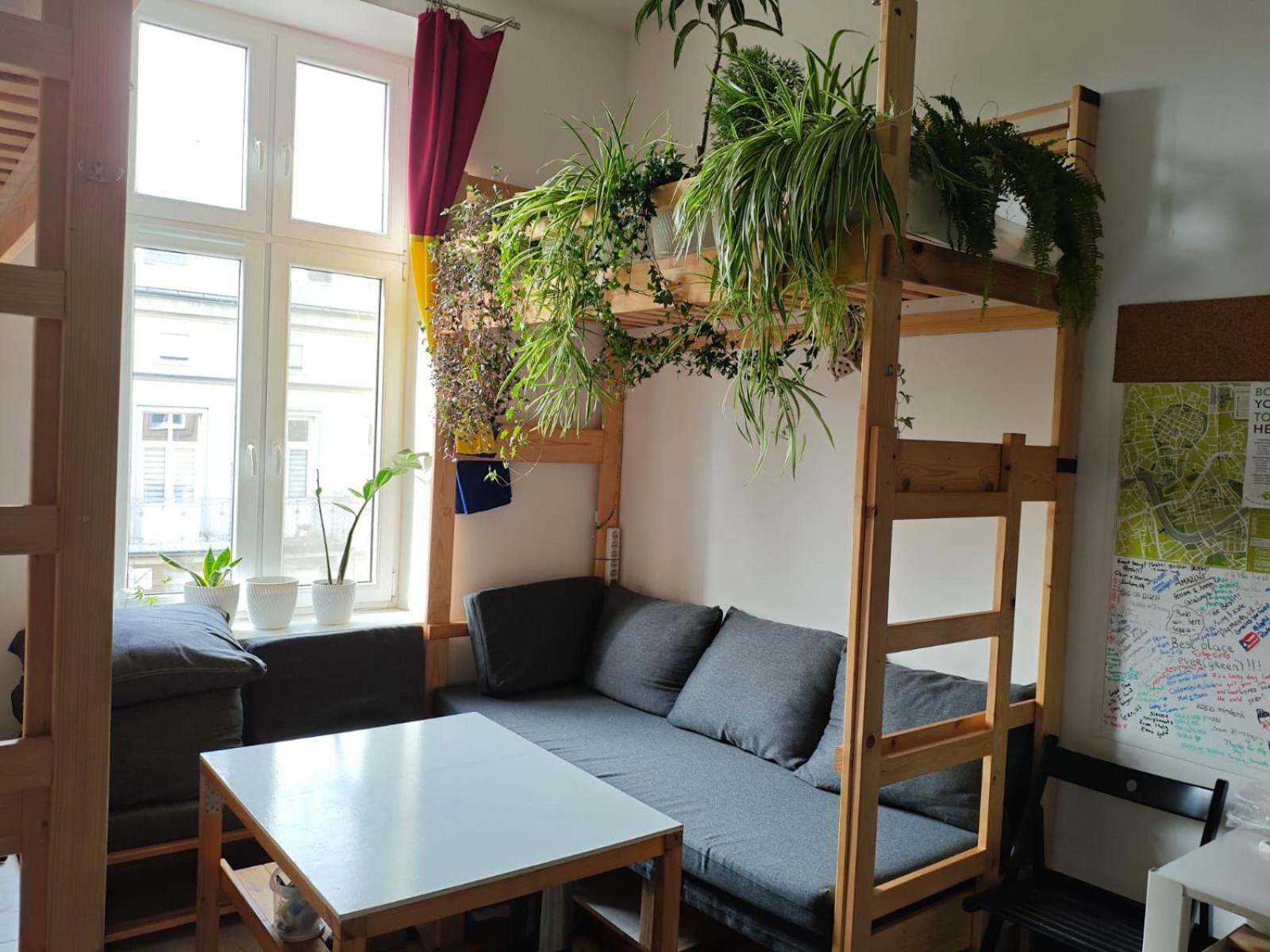 Evergreen Hostel Krakow Dış mekan fotoğraf